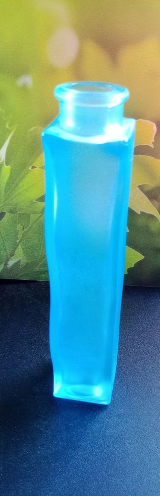 Vaso Skamt IKEA Blu