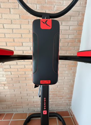 Domyos DS91D | estación dominadas y fondos | 99 €