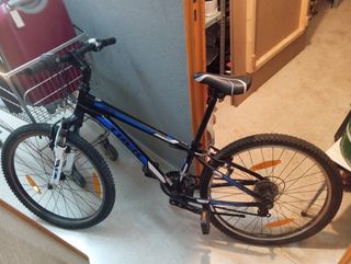 Bicicleta infantil Trek