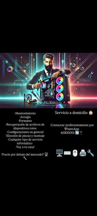 Servicios informáticos / Técnico informático 