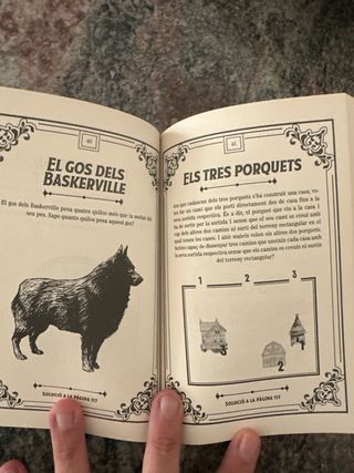 Els Millors Jocs I Enigmes de la Literatura