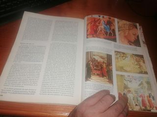 Libro: HISTORIA DEL ARTE COU 1980 Vicens Vives
