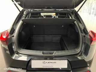 Lexus UX250h BUSINESS 2021 REF 7137