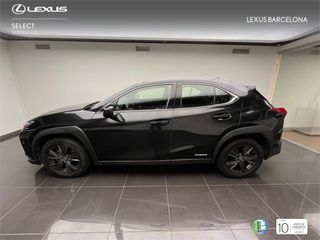 Lexus UX250h BUSINESS 2021 REF 7137