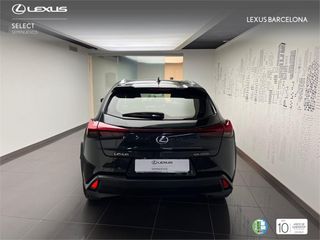 Lexus UX250h BUSINESS 2021 REF 7137