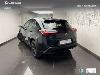 Lexus UX250h BUSINESS 2021 REF 7137