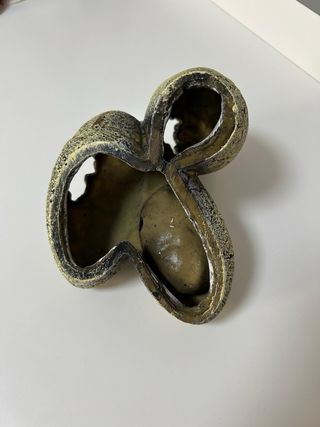 Bebedero y refugio para reptiles