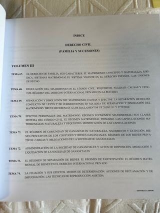 Derecho Civil. Familia y sucesiones. Volumen 3.