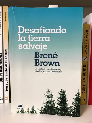Libro - Desafiando la tierra salvaje 