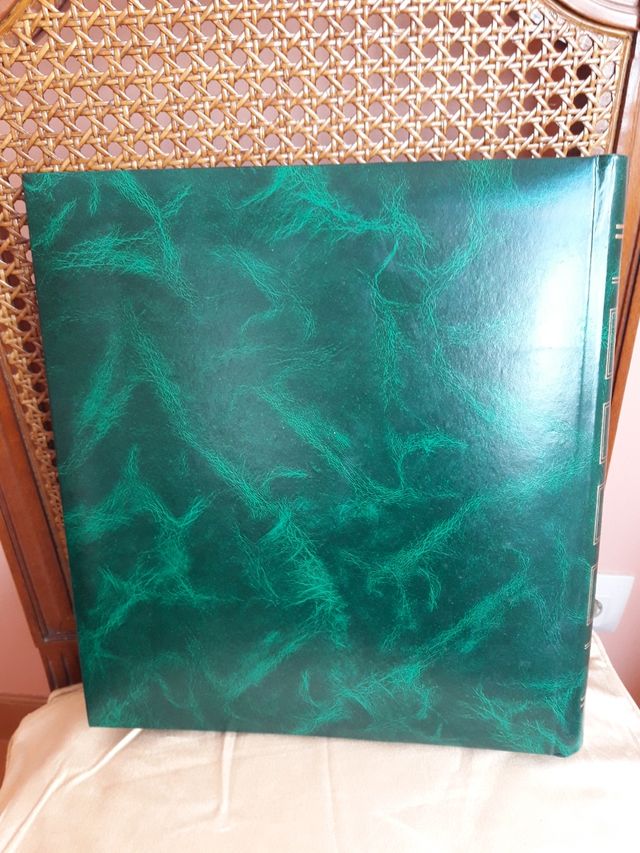 Álbum para fotos, de anillas.