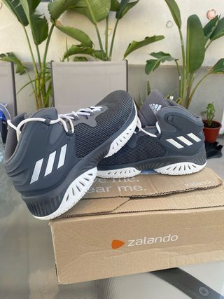 Botas Baloncesto Adidas AlphaBounce Talla 47