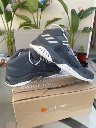 Botas Baloncesto Adidas AlphaBounce Talla 47