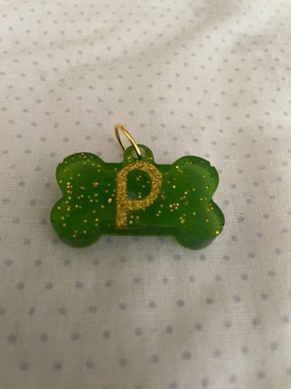 Colgante con nombre para mascota con resina