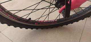 Bicicleta Infantil 20 Rosa