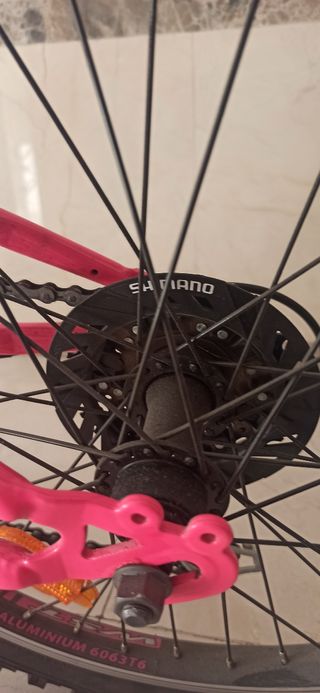 Bicicleta Infantil 20 Rosa