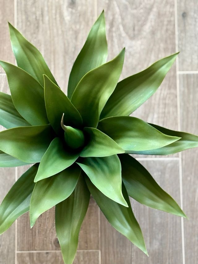 Planta Agave Artificial Verde