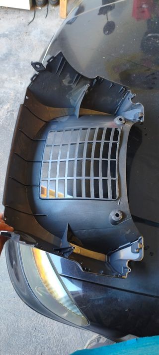 Cubierta radiador Daelim S3 125