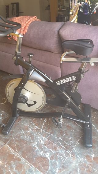 Bicicleta Spinning Profesional Fitness