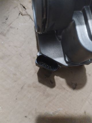 Mariposa apagado suave.