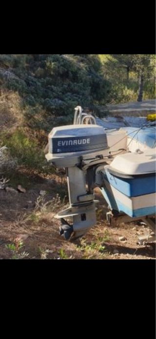 Fueraborda Evinrude 25 CV Antiguo
