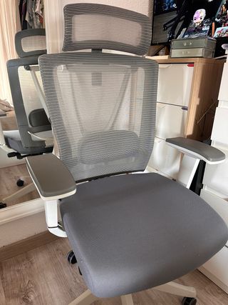 Silla ergonómica FlexiSpot BS14 — Estado impecable