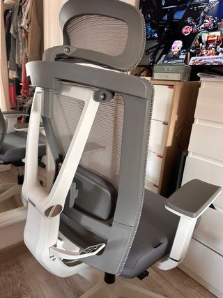 Silla ergonómica FlexiSpot BS14 — Estado impecable