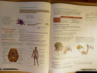 Libro Biologia y Geologia Bilingüe 3 Eso