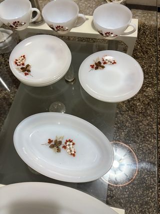 Vajilla Arcopal Porcelana Blanca