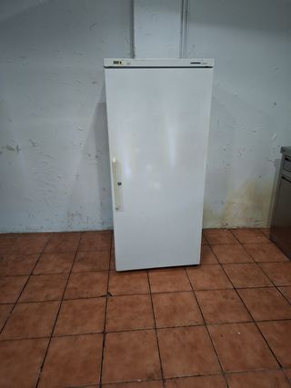 Congelador vertical Liebherr