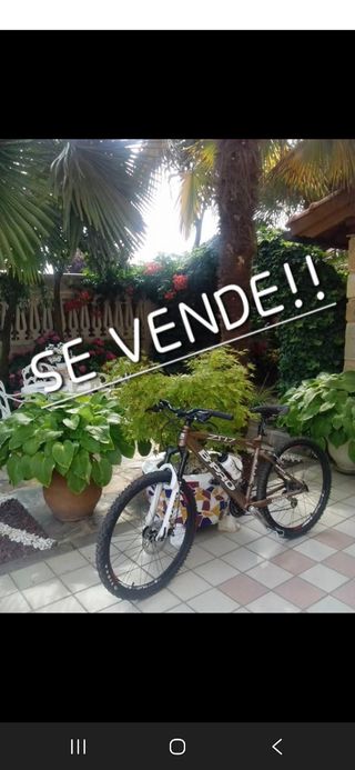 Bicicleta Montaña B Pro ZS1.7 Talla S