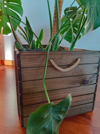 Caja de madera estilo shabby chic