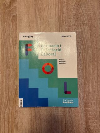 FORMACIO I ORIENTACIO LABORALGRAU MITJA