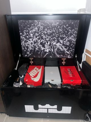 Zapatero Sneakers Lebron James