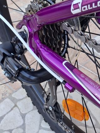 Bicicleta Coluer Lucy 245