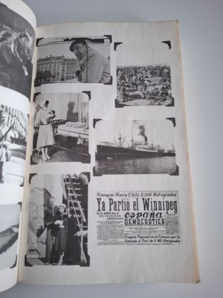 Lungo petalo di mare (Italian Edition)