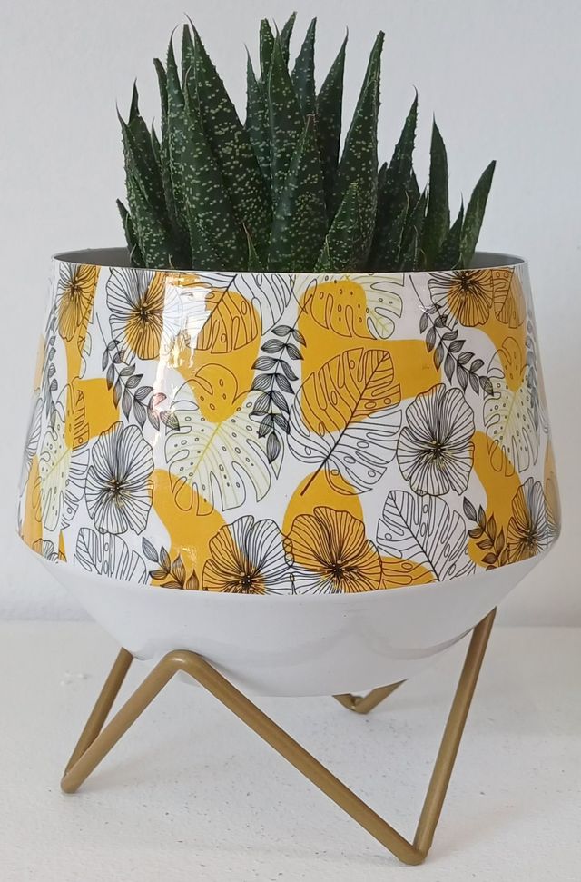 Fioriera in ferro con supporto in oro