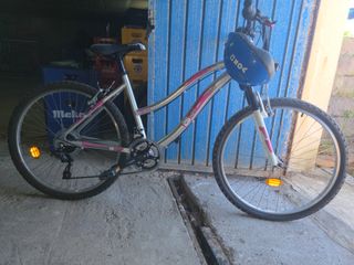 Bicicleta de montaña plateada