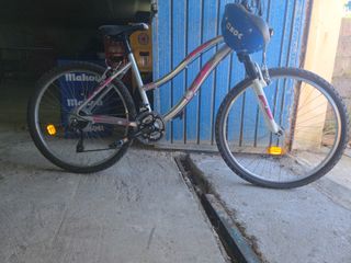 Bicicleta de montaña plateada