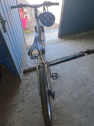 Bicicleta de montaña plateada