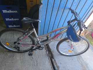 Bicicleta de montaña plateada