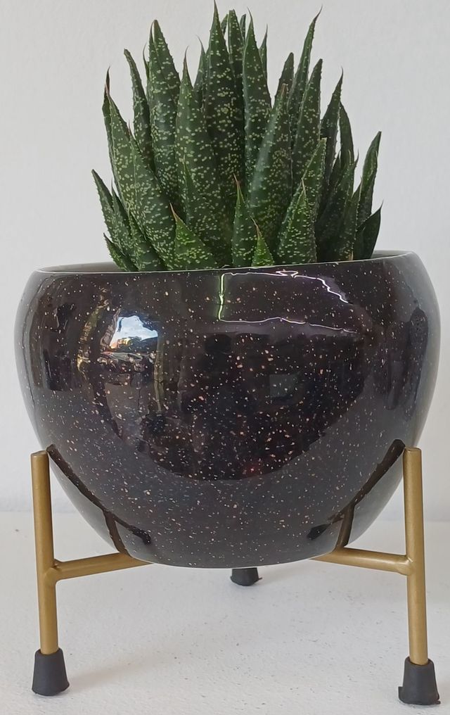 Fioriera nera con supporto dorato