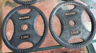 2 Discos olimpicos de Pesas Salter de 2.5kg