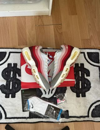 Nike Air Max 95 Anatomy of Air