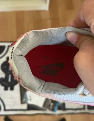 Nike Air Max 95 Anatomy of Air