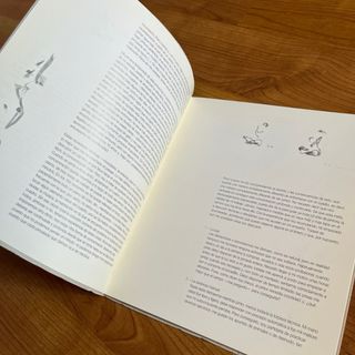 Catálogo - Marta Cárdenas Sala Luzán