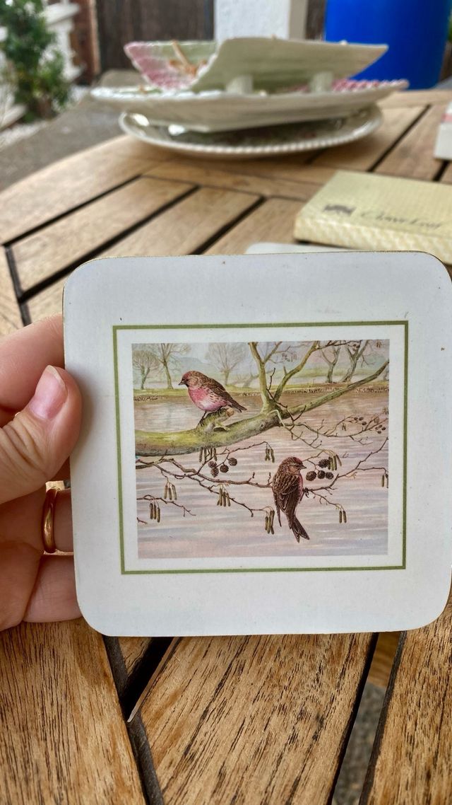 Set de 6 Posavasos con Ilustraciones de Pájaros