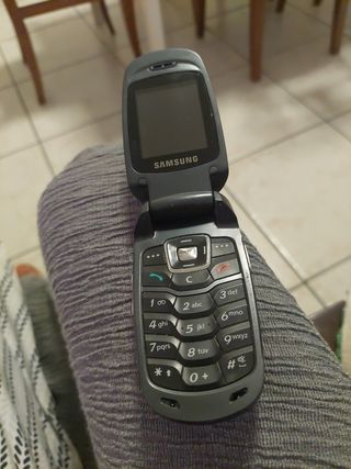 Samsung Cellulare Vintage 2006 Nero