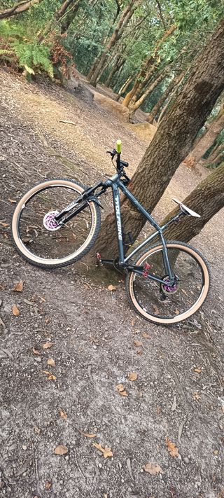 Bici Wolfbike Supernova 29 Tubeless