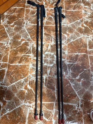 Bastones de senderismo ajustables