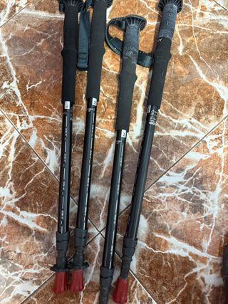 Bastones de senderismo ajustables